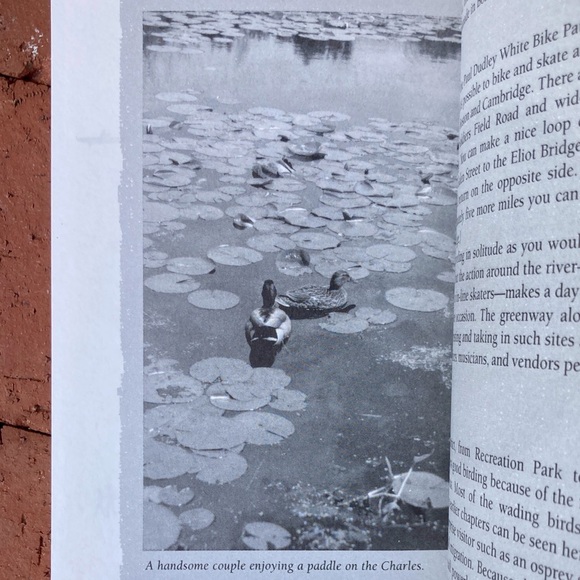 Exploring the Hidden Charles River Boston Massachusetts Canoeing Outdoor Canoe - Picture 5 of 14